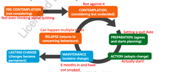 <p>before recommended any behavioural changes, clinicians should assess patients’ readiness, willingness and barriers to change </p><ol><li><p>pre-contemplation = not considering </p></li><li><p>contemplation = considering but undecided </p><ul><li><p>not against it —&gt; “im thinking of quitting”</p></li></ul></li><li><p>preparation = Agrees and starts planning </p><ul><li><p>setting a quit date </p></li></ul></li><li><p>ACTION = adopts change </p><ul><li><p>actually start</p></li></ul></li><li><p>Maintenance = sustains change </p><ul><li><p>6 months in and have not smoked </p></li></ul></li><li><p>a) lasting change = changes become permanent </p><p>b) relapse  = returns to concerning behaviours (can happen multiple times)</p></li></ol><p></p>