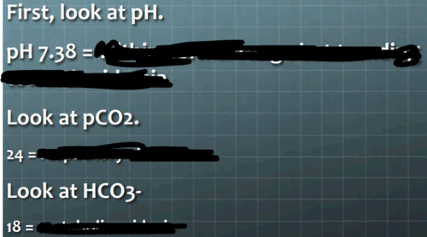 <p>What does the pH suggest?</p><p>________</p><p>What does the CO2 level suggest?</p><p>_________</p><p>What does the bicarbonate level suggest?</p><p>_________</p><p>How will the system respond?</p><p>_________</p><p>What is the diagnosis?</p><p>_________</p>