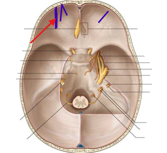 <p>What is this structure?</p>