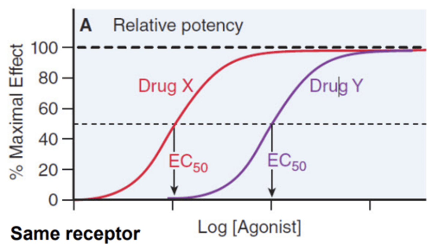 <p>the amount of agonist needed to elicit a desired response</p>