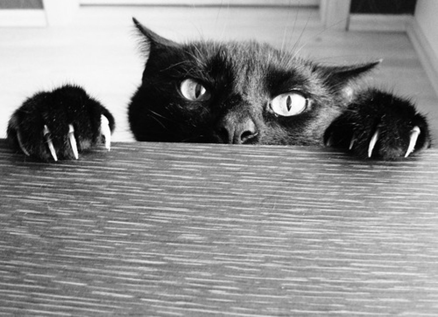 <p>1. evil in nature or effect.</p><p>2. speak about (someone) in a spitefully critical manner.</p>