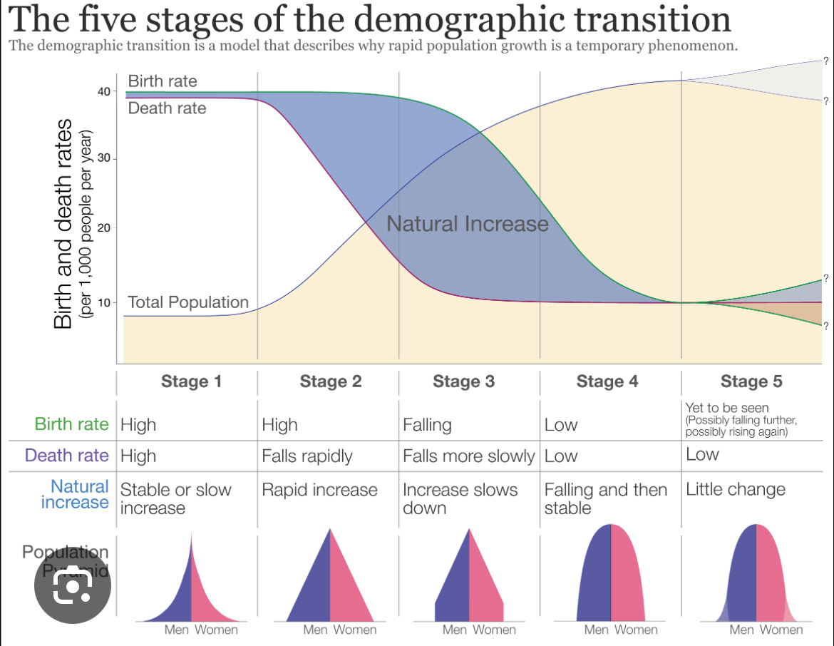 <p>Used by geographers to analyze and predict trends in population growth and decline + patters of births, death and natural increase.</p>