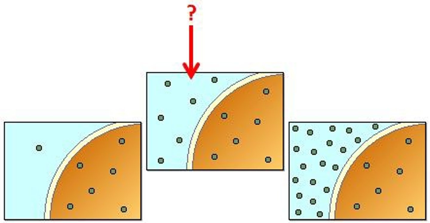 <p>when the concentration of the solute is the same on both sides of the membrane</p>