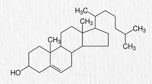 <ul><li><p>a steroid that helps produce other steroids</p></li></ul><p>7-Dehydrocholesterol is the pre curser to serum cholesterol, converted to vitamin D by ultraviolet light</p>