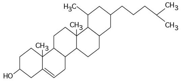 what is the structure in the figure above 
a)pentose molecule
b)fatty acid molecule
c)steroid molecule
d)oligosaccharide molecule
e)phospholipid molecule