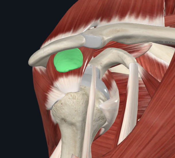 <p>What is highlighted green</p>