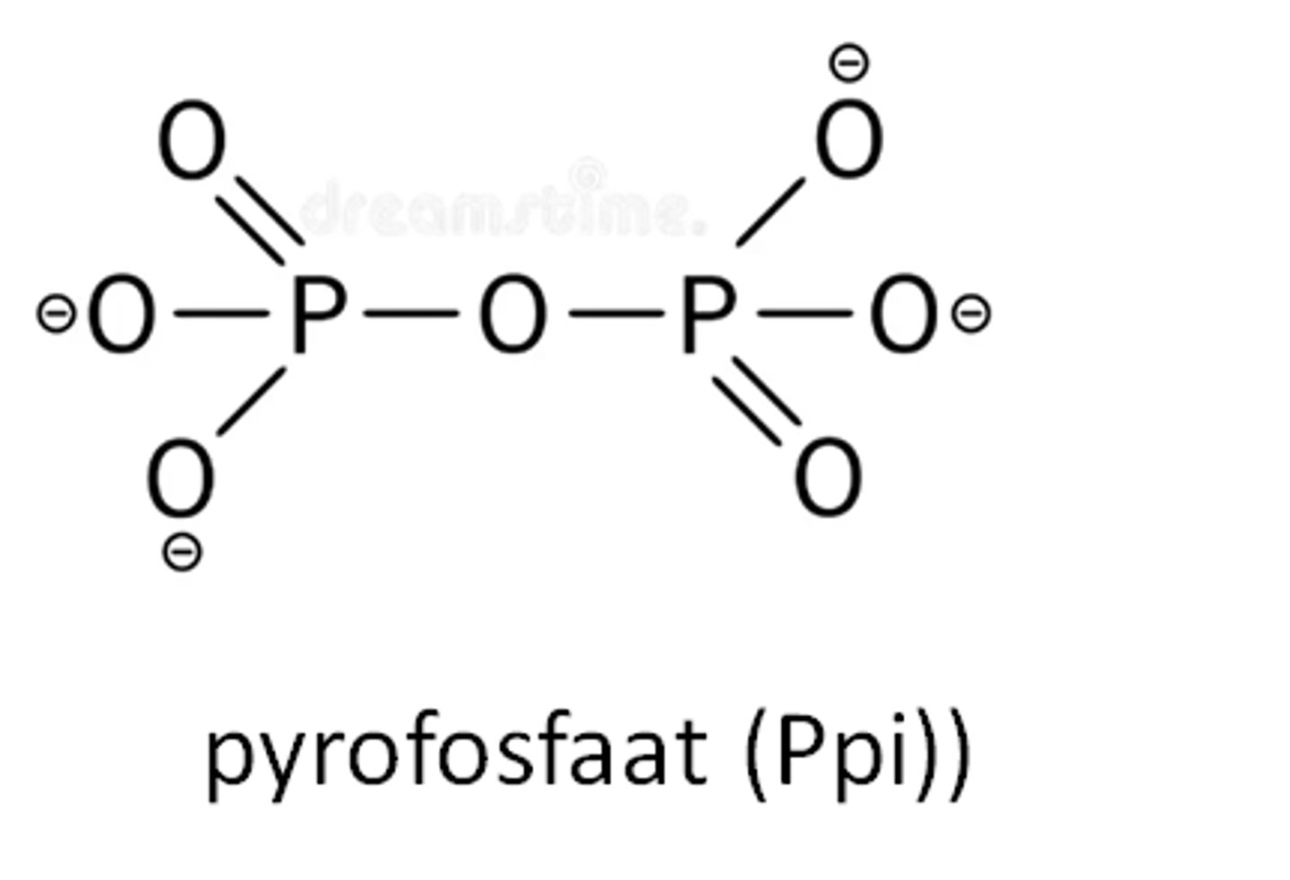 <p>pyrofosfaat of difosfaat en het wordt vrijgesteld bij het incorporeren van een nucleotide in een DNA- of RNA-streng</p>
