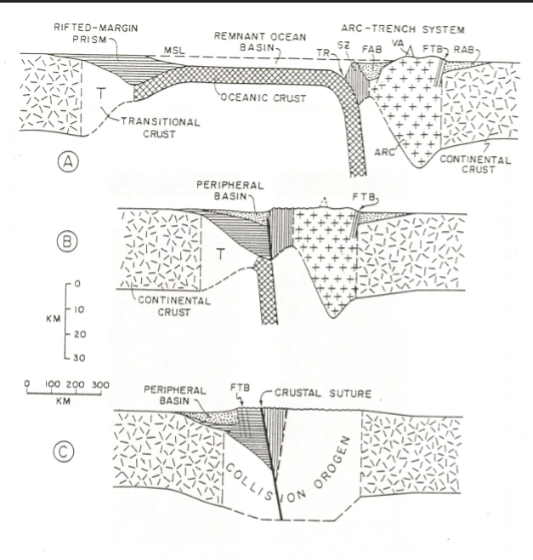 <p>Dominated by deep water turbidites (flysch) and volcanics. Coarse tectonic clasts pile on top from erosion of continents; a <span>small, shrinking basin that forms during the late stages of continental collision, where an oceanic basin is caught between two colliding continents or a continent and an island arc</span></p>