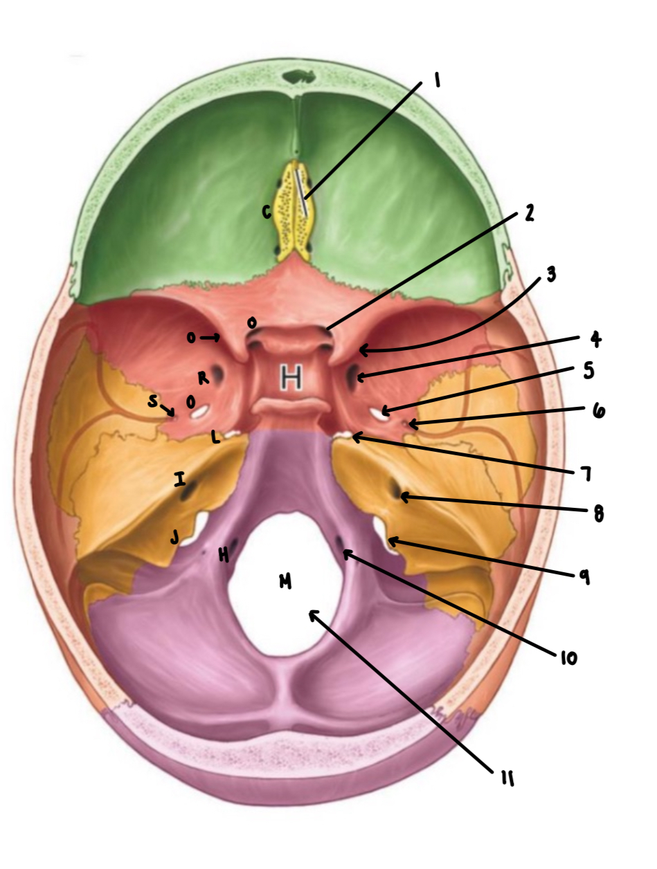 <p>3</p>