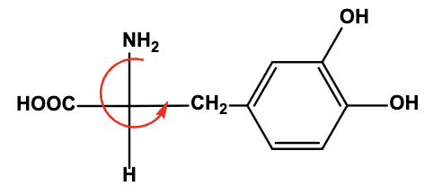 <p>Select the TRUE statement about the following structure representing the chemical Dopa.</p>