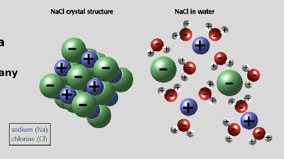 <ul><li><p>the <strong>polarity</strong> of water makes it a great solvent</p></li><li><p>“universal solvent”</p></li><li><p>dissolves many things - polar mlc., ionic mlc., NOT non-polar mlc.</p><ul><li><p>ex. NaCl (ionic)</p></li></ul></li></ul><p></p>