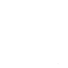<p>White</p>