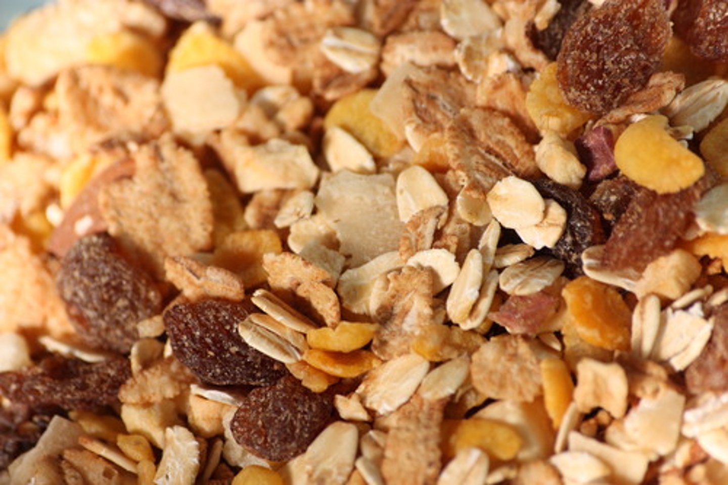 <p>granola; cereal</p>