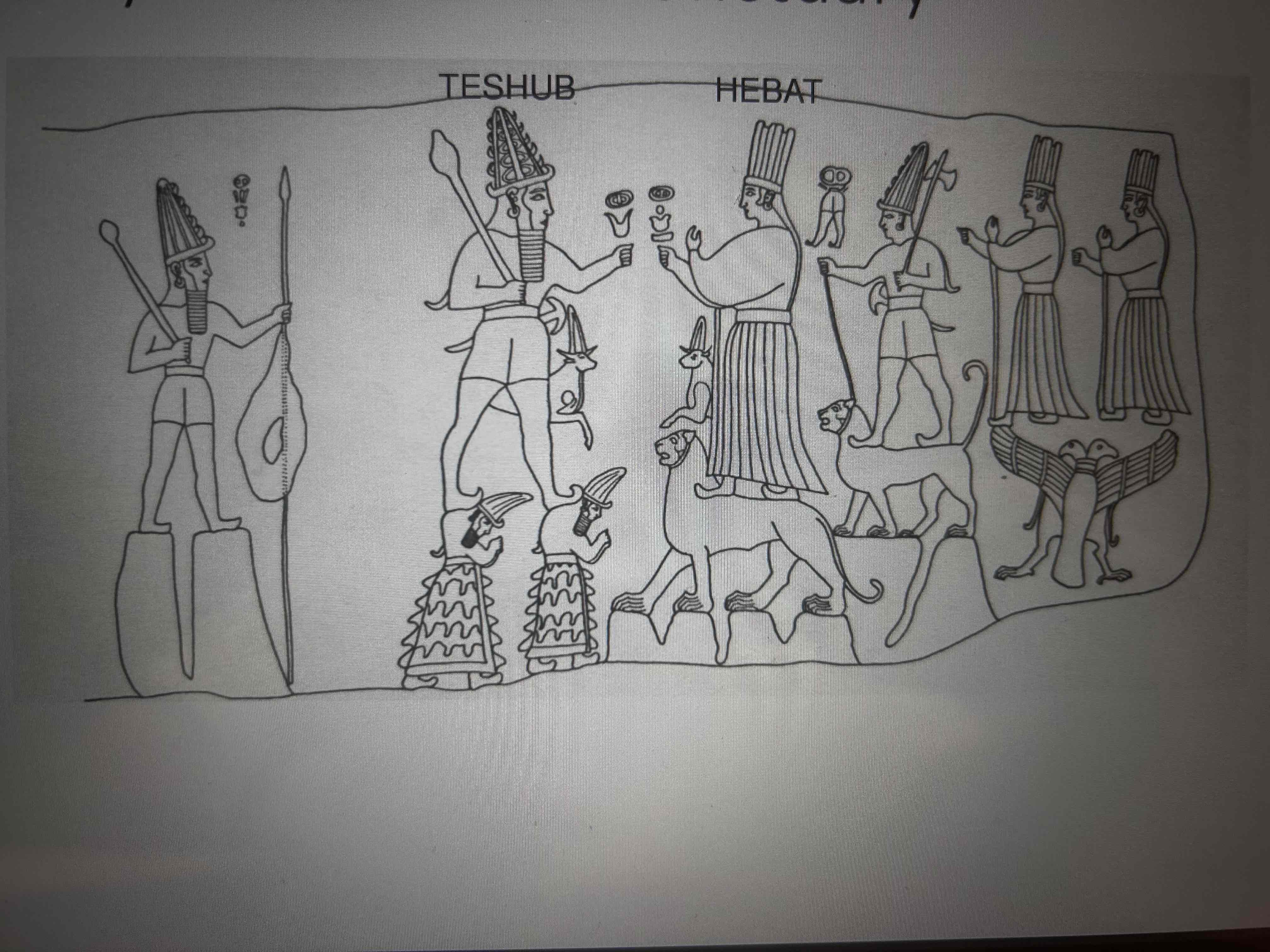 term image