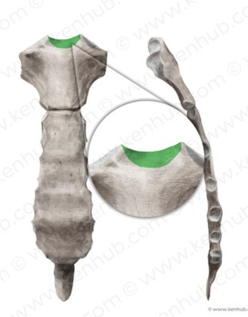<p>What is the green portion?</p>