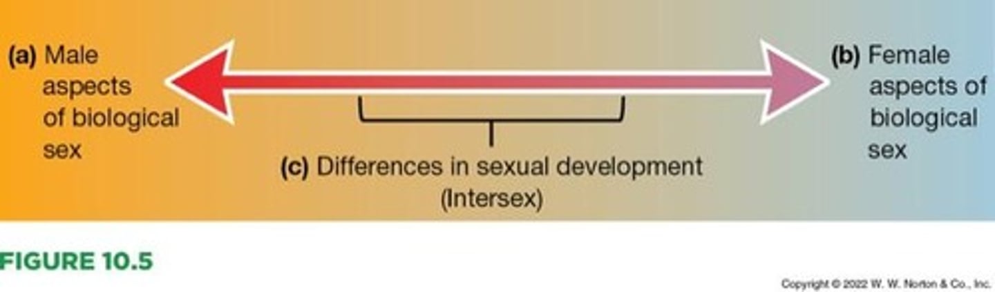 <p>Variations in one or more aspects of biological sex, resulting in non-binary sex (intersex).</p>