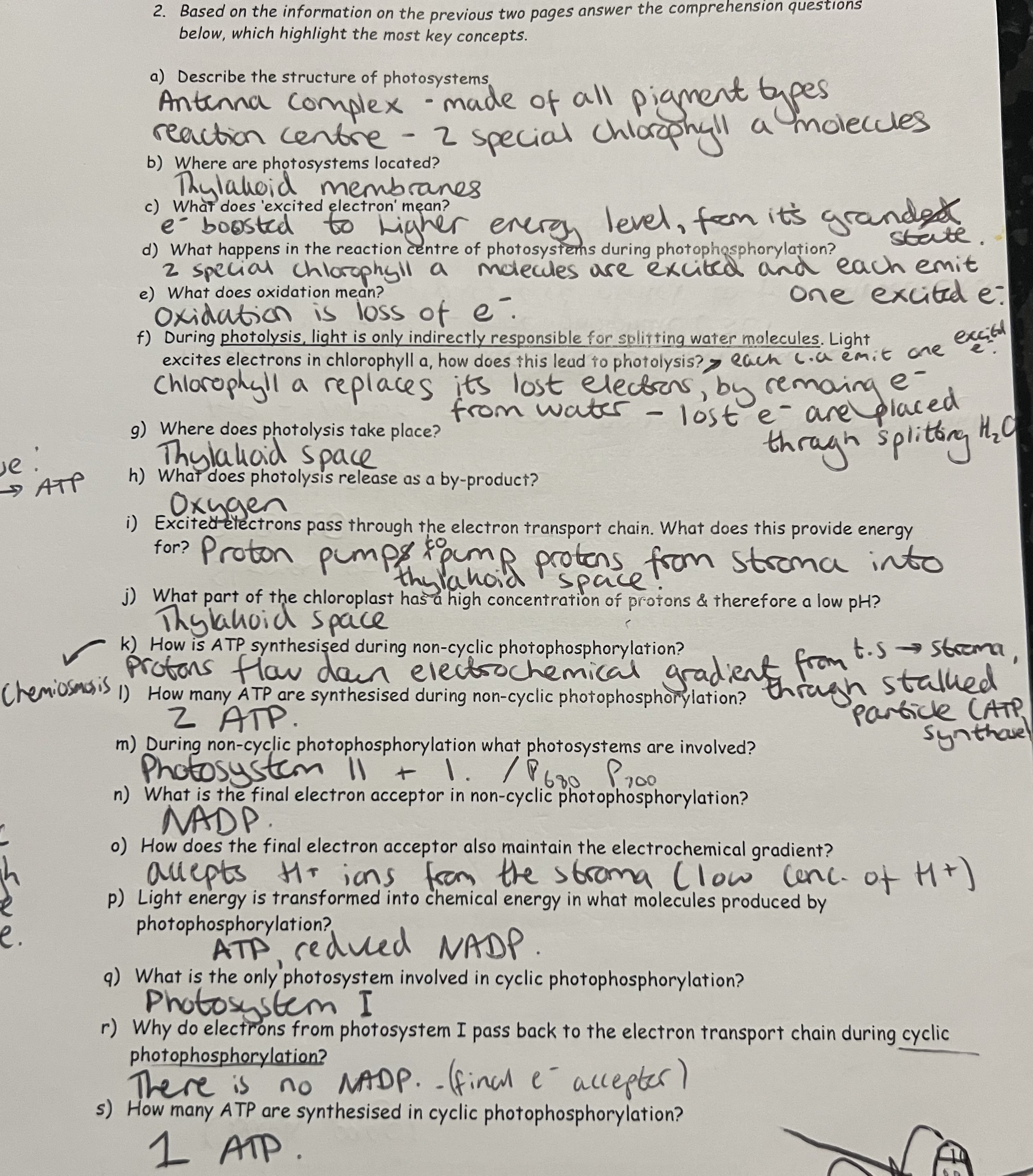 knowt flashcard image