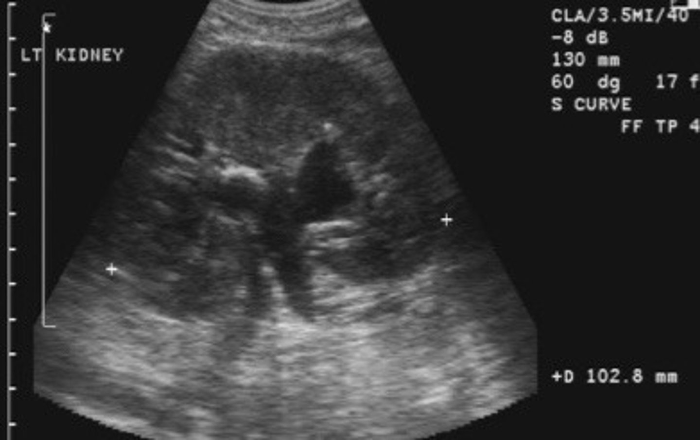 <p>What does this image show</p>