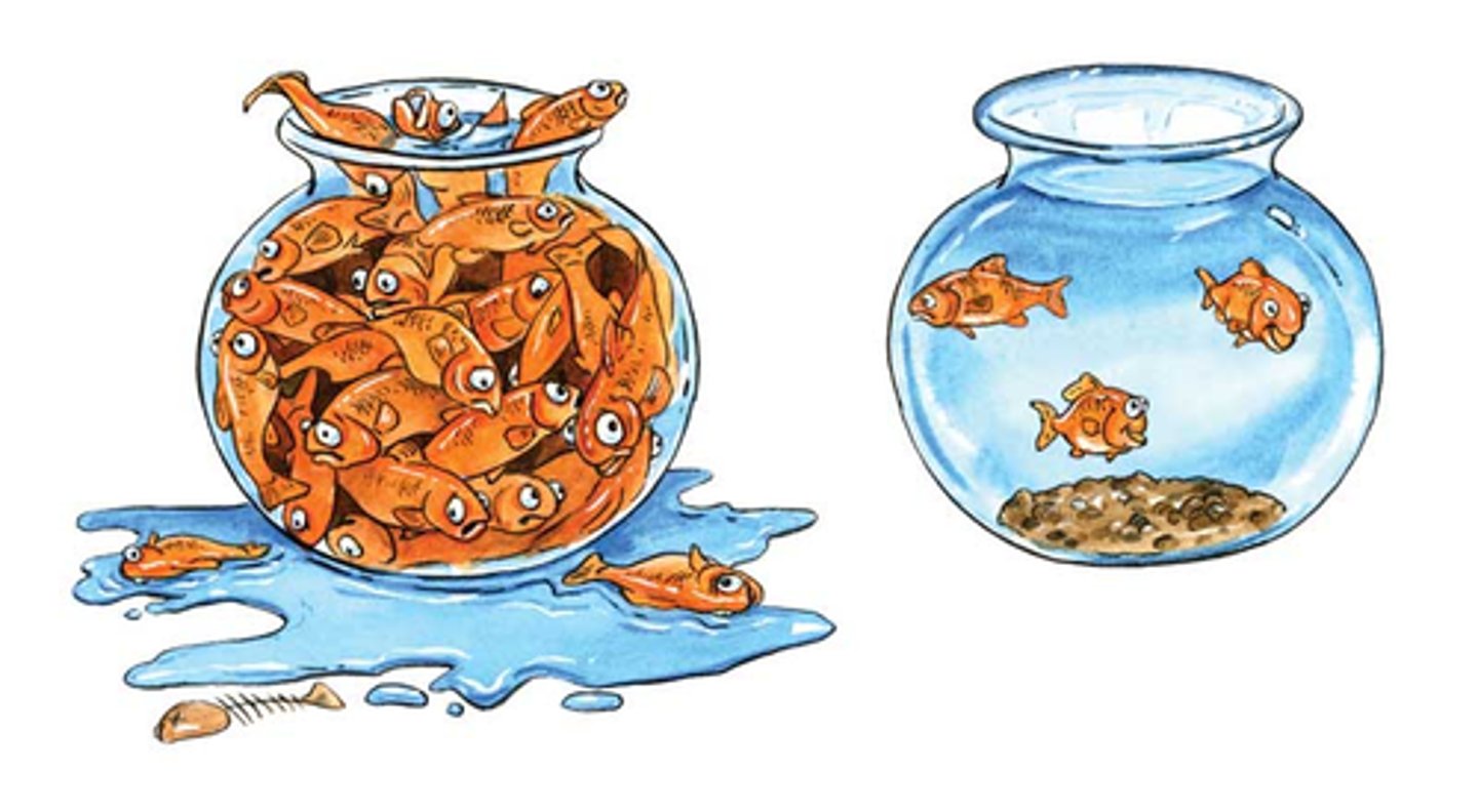 <p>The maximum number of individuals that an environment can support sustainably over time</p>