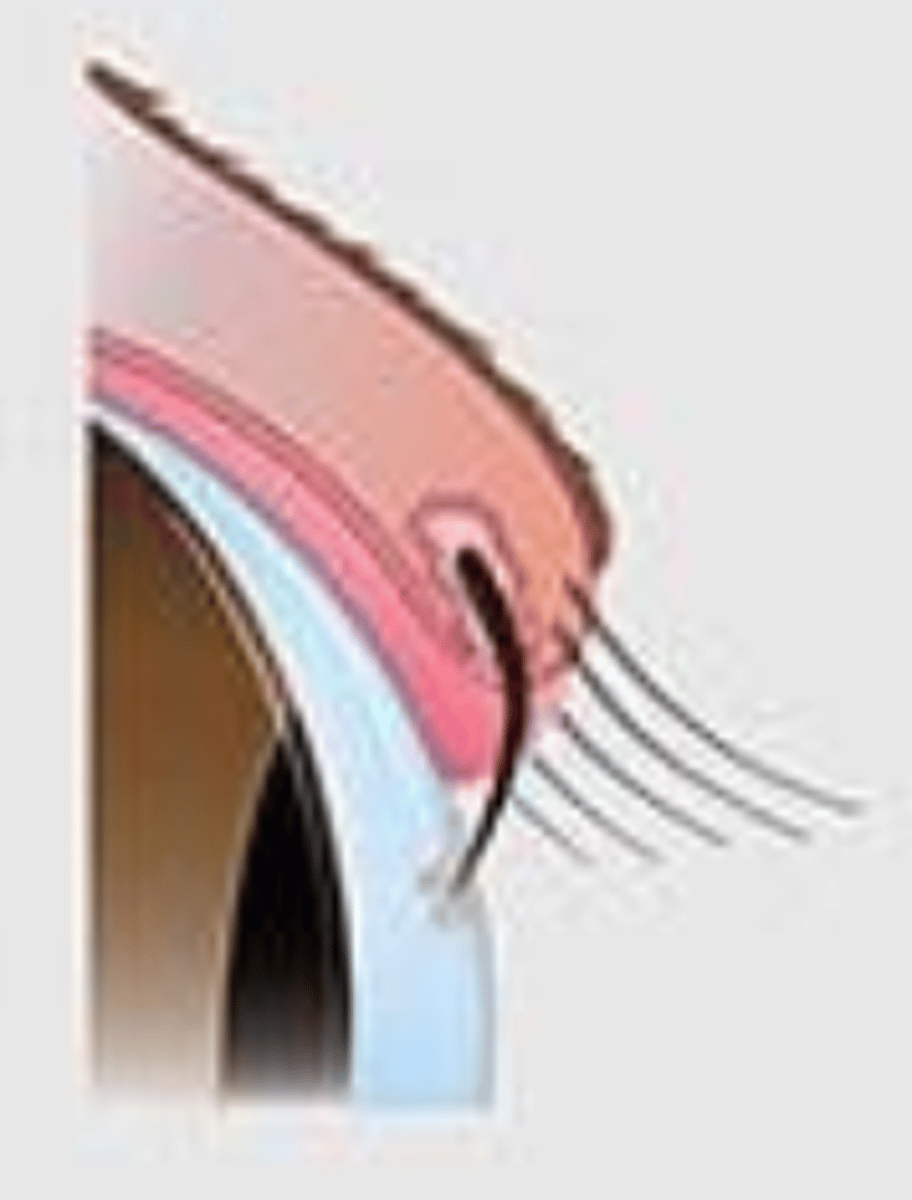 <p>what is this called?</p>