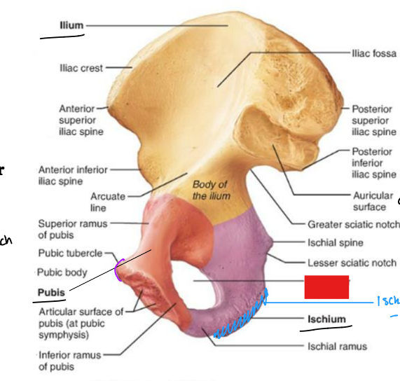 <p>fill in the red box:</p>