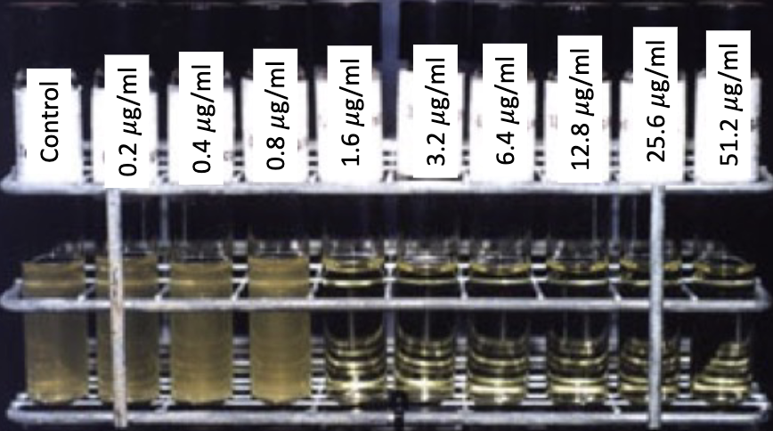 <p>dilution susceptibility tests</p>