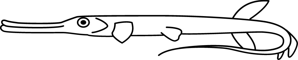 <p>Tail filament<br>Size: 20 cm</p>