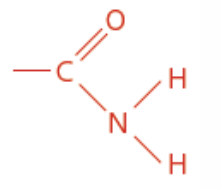 <p>Nitrogen containing</p><p>Carboxyamide functional group</p><p>Ends in anamide</p>
