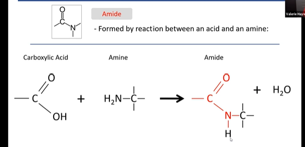does not take on a charge, remians polar but neutral unlike AMINE, AMIDESS are polar unchaged in solution
