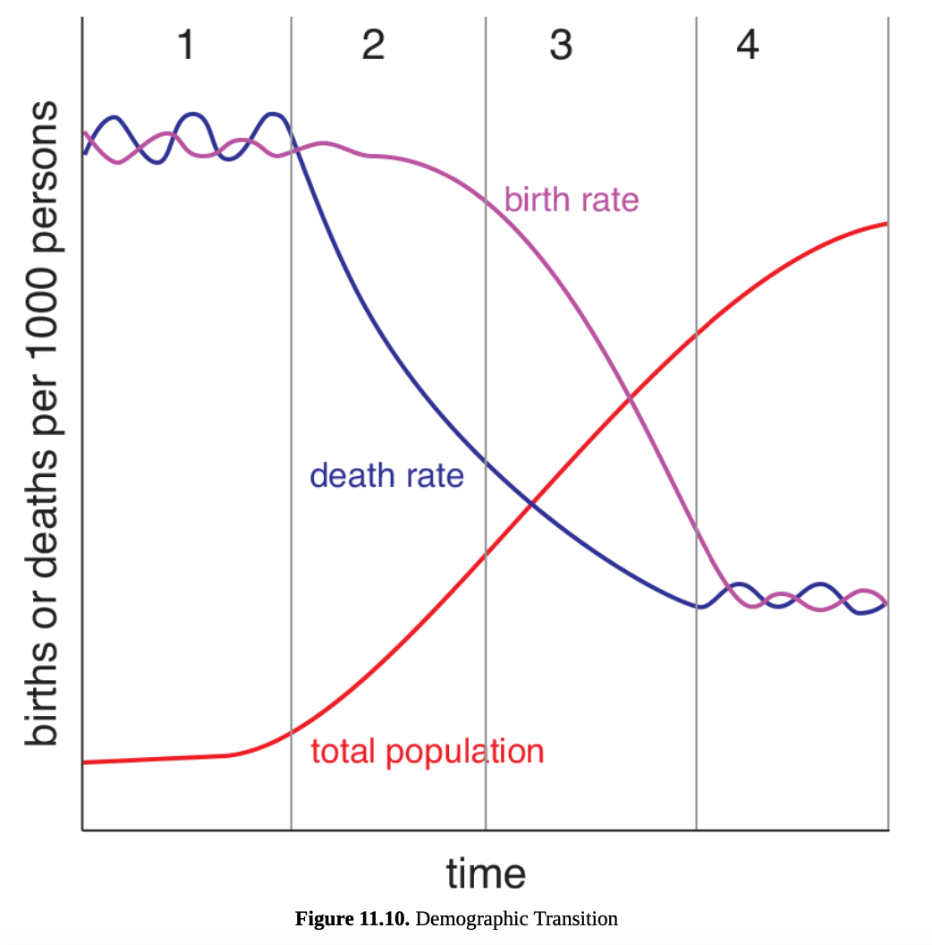 <p>demographic transition theory </p>