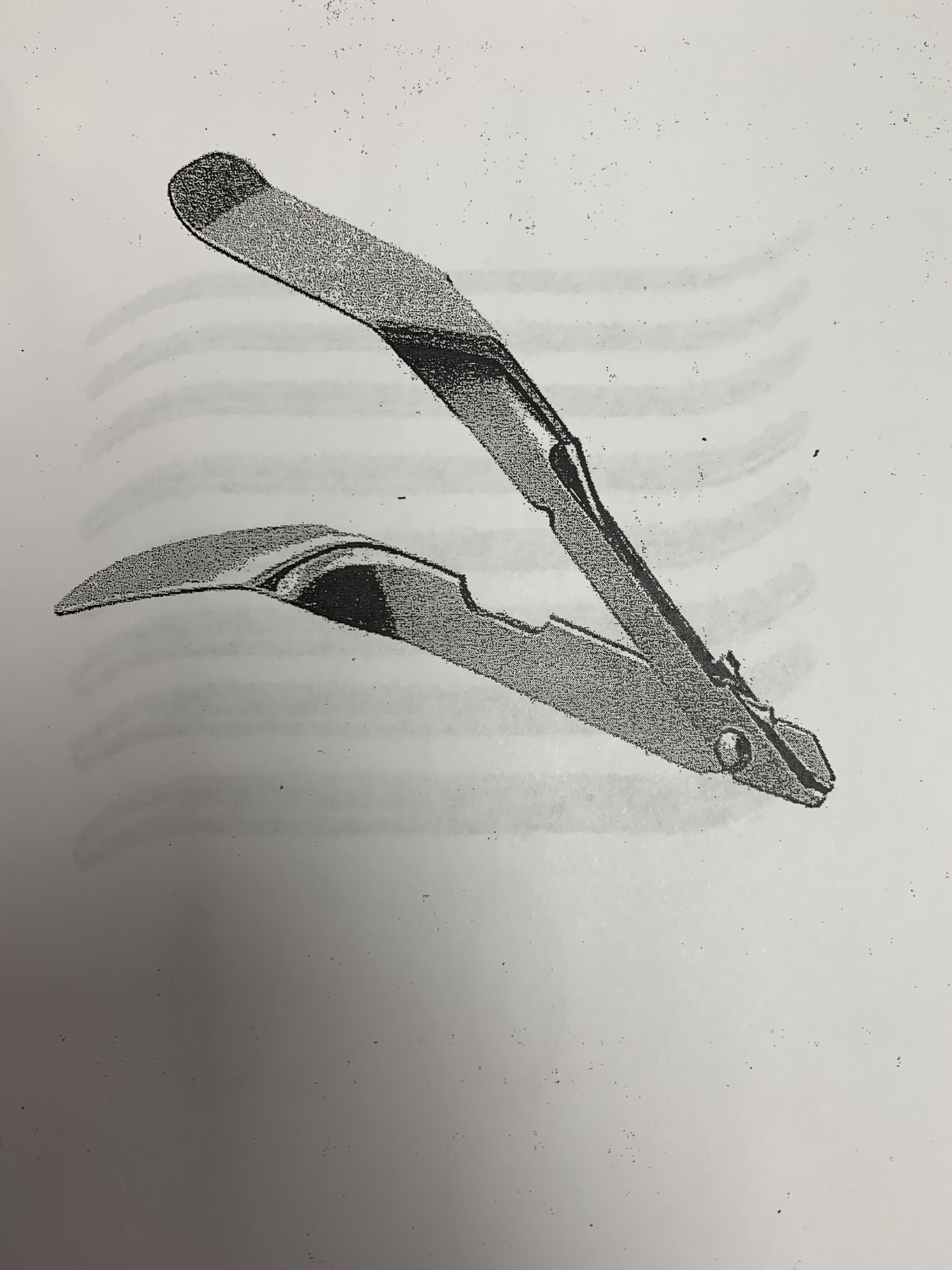term image