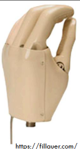 <p>APRL VC Hand </p>