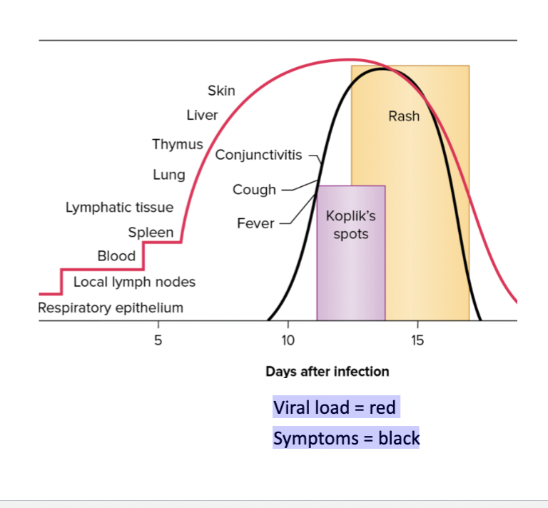 <p>Measles Treatment</p>