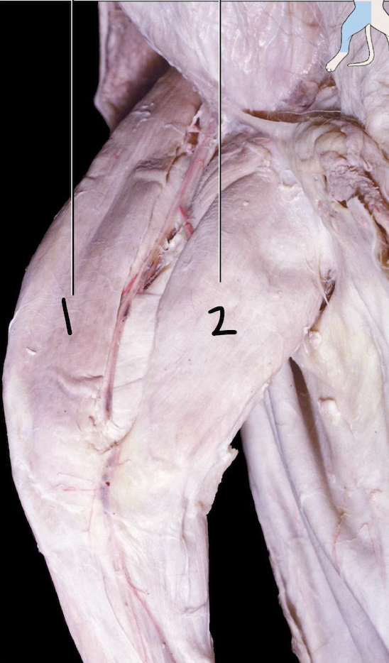 <p>2</p>