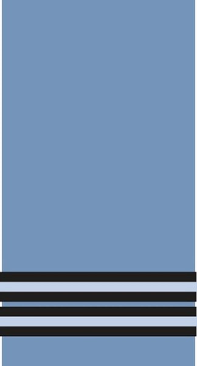<p>Flight lieutenant</p>