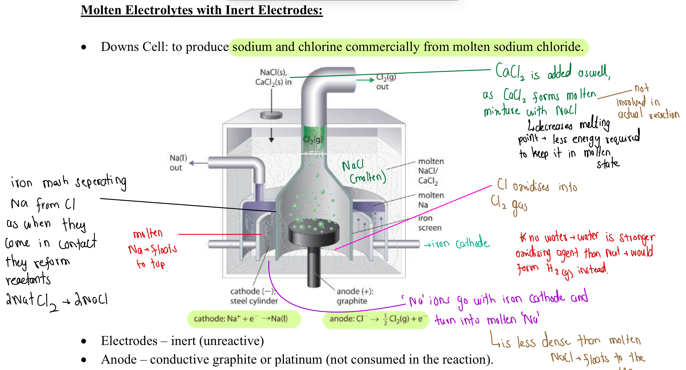 knowt flashcard image