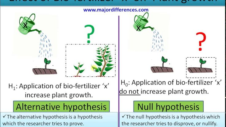 <p>A statement that there is no effect or no difference between variables, used as a default position in statistical testing. It serves as a basis for comparison against the alternative hypothesis. </p>