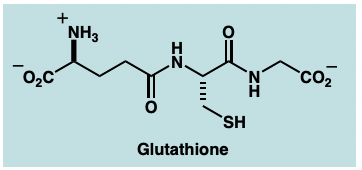 <p>attachment of ionised group to increase water solubility and ease of excretion </p><p>i.e. </p><ul><li><p>addition of sulfate group (SO3-) </p></li><li><p> addition of glutathione conjugates:</p></li></ul><p>SNAR or nucleophilic substitution </p><p></p>