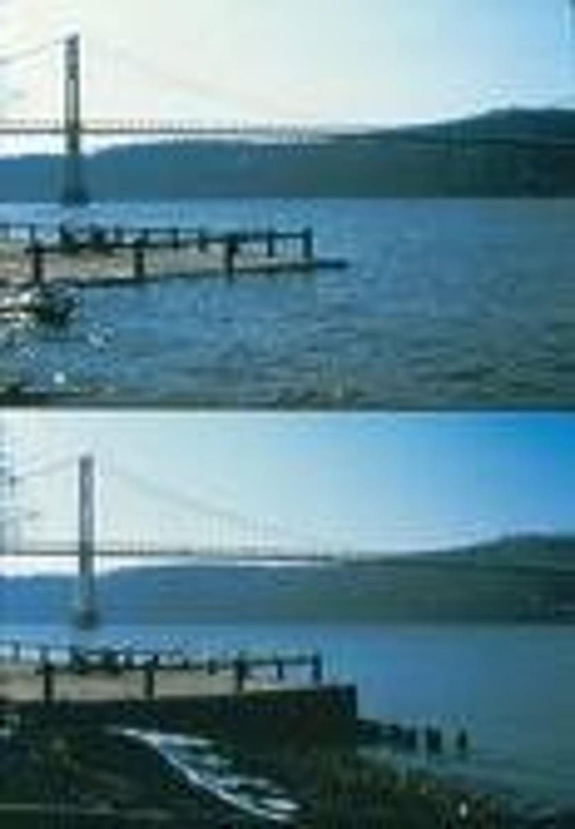 <p>rise and fall of ocean water caused by the gravitational pull of the moon and to a lesser degree the sun</p>