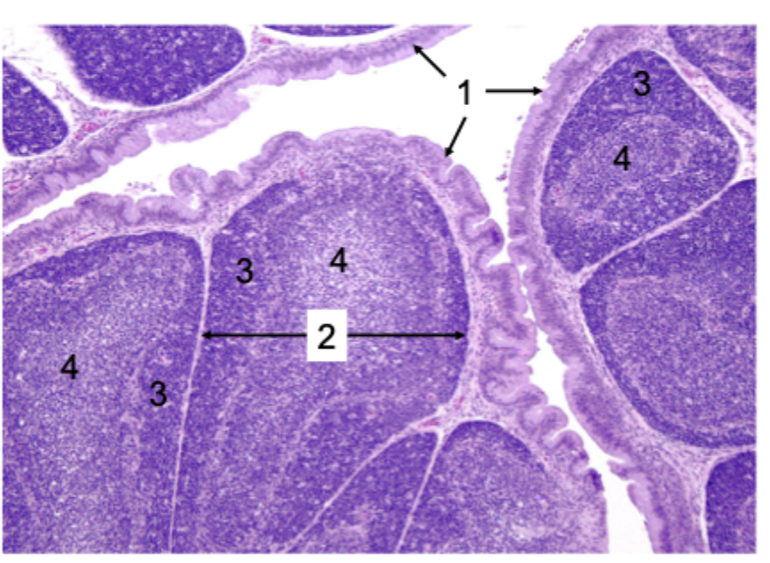 <p>1</p>