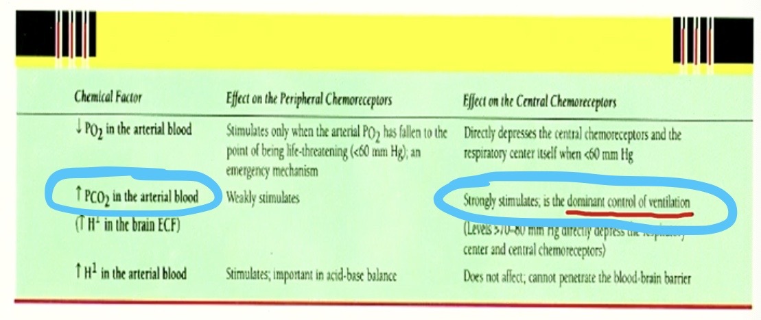 <p><span style="color: blue"><strong>CO<sub>2 </sub></strong></span><strong> in the </strong><span style="color: red"><strong>BLOOD</strong></span></p>