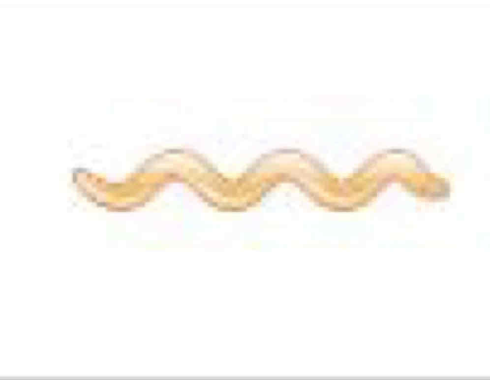<p>Spiral </p>