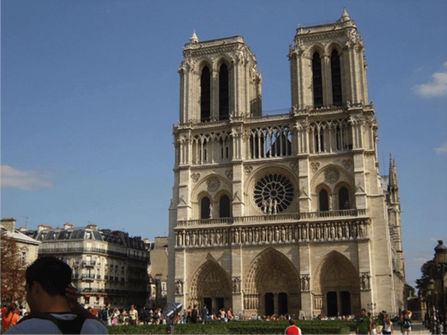 <p>Roman Catholic church</p>