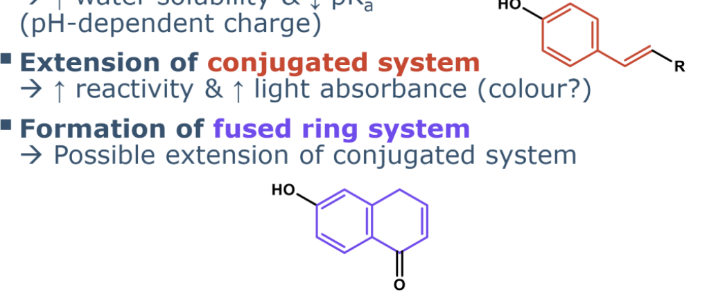 <p><span style="background-color: inherit;"><span>(e.g., via alkenes or fused rings)</span></span></p><p></p><p><span style="background-color: inherit; line-height: 20.7px;"><span>Increases light absorbance. I</span></span></p><p><span style="background-color: inherit; line-height: 20.7px;"><span>increases reactivity due to more possibilities for resonance structures.</span></span><span style="line-height: 20.7px;"><span>&nbsp;</span></span></p><p>increased oxidation</p><p>increased antioxidant act</p><p></p><p><span style="background-color: inherit; line-height: 20.7px;"><span>Leads to </span><strong><span>color</span></strong><span> if the conjugated system becomes long enough (typically ≥ eight conjugated double bonds). Important for antioxidant activity.</span></span><span style="line-height: 20.7px;"><span>&nbsp;</span></span></p><p></p>