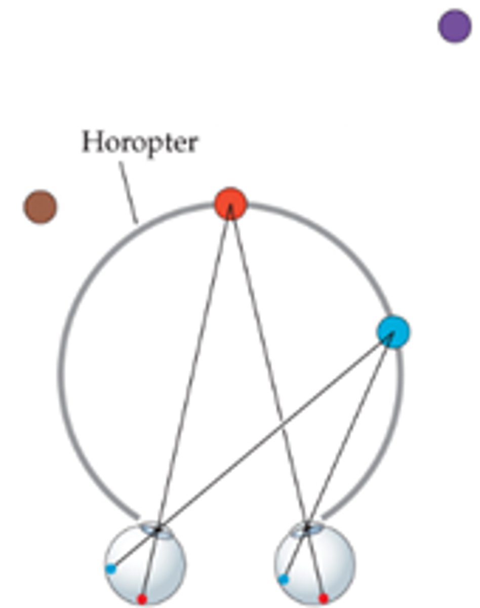 <p>The location of objects whose images lie on the corresponding points. The surface of zero disparity.</p>