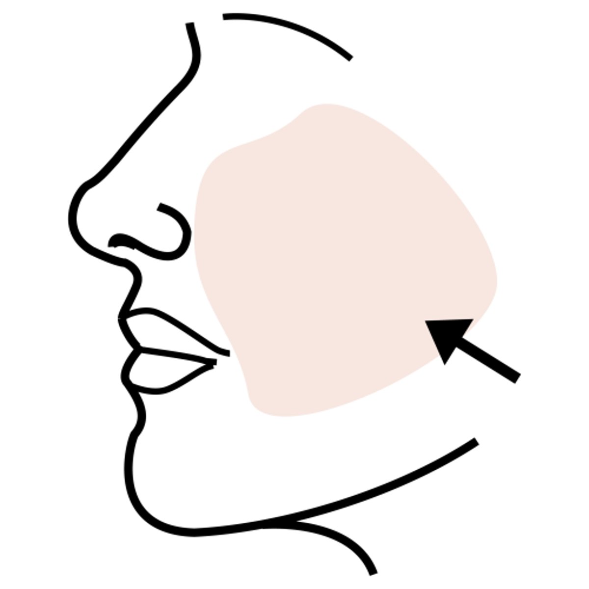 <p>cheek</p>