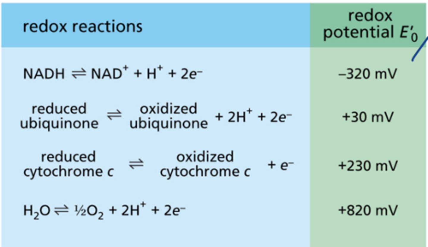 <p>have negative redox potential</p><p>readily release electrons (low e- affinity)</p>