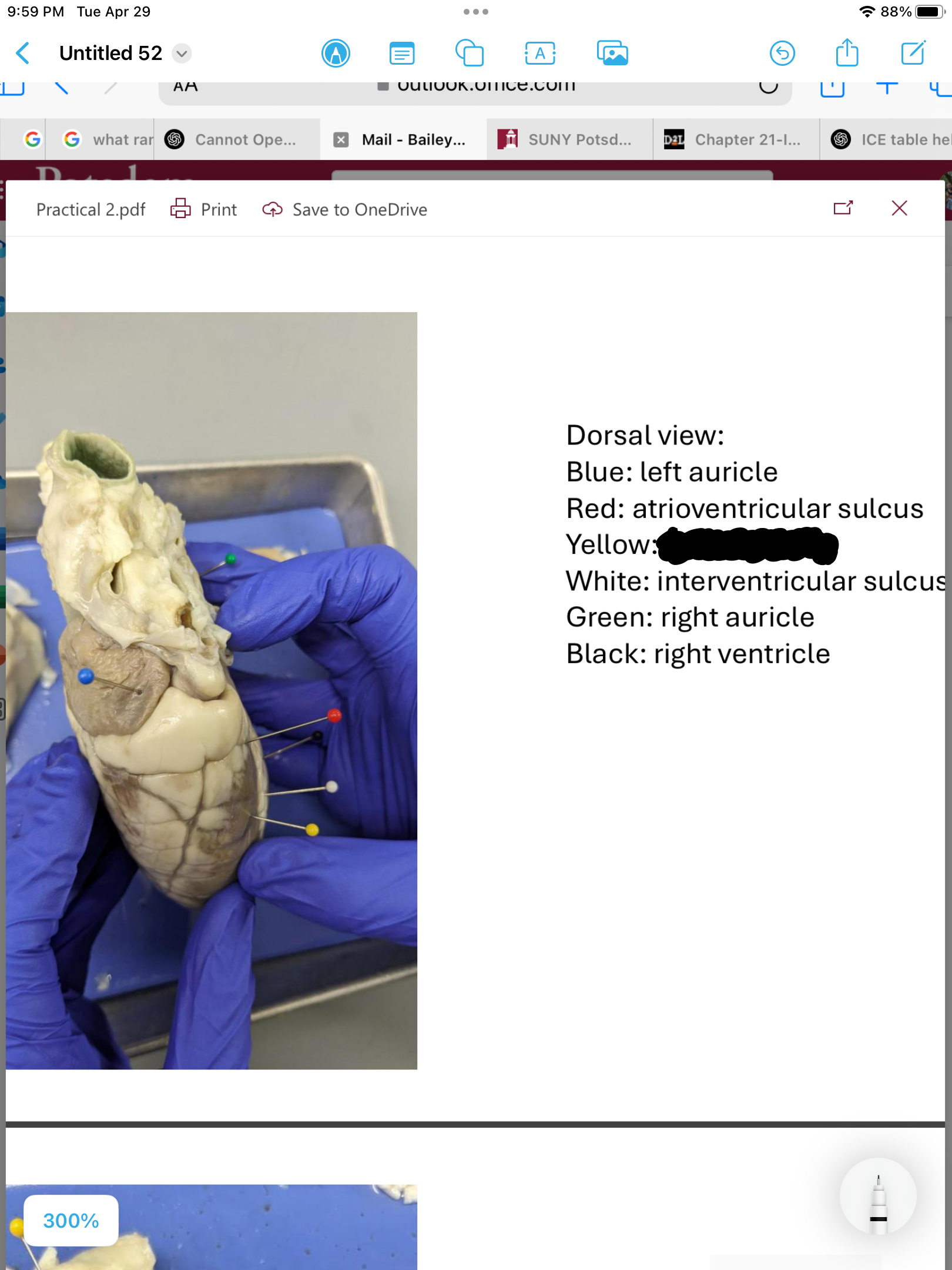 <p>label the area</p>