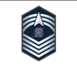 <p>Space Force E-9</p>