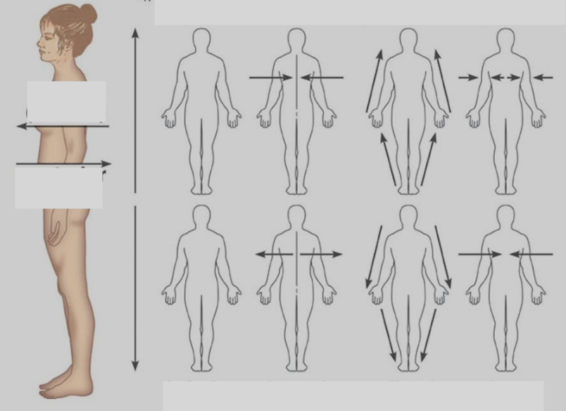 above in relation to another structure; higher, cephalic
